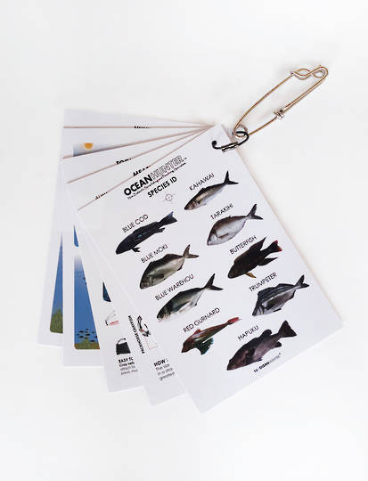 Hunting Guide